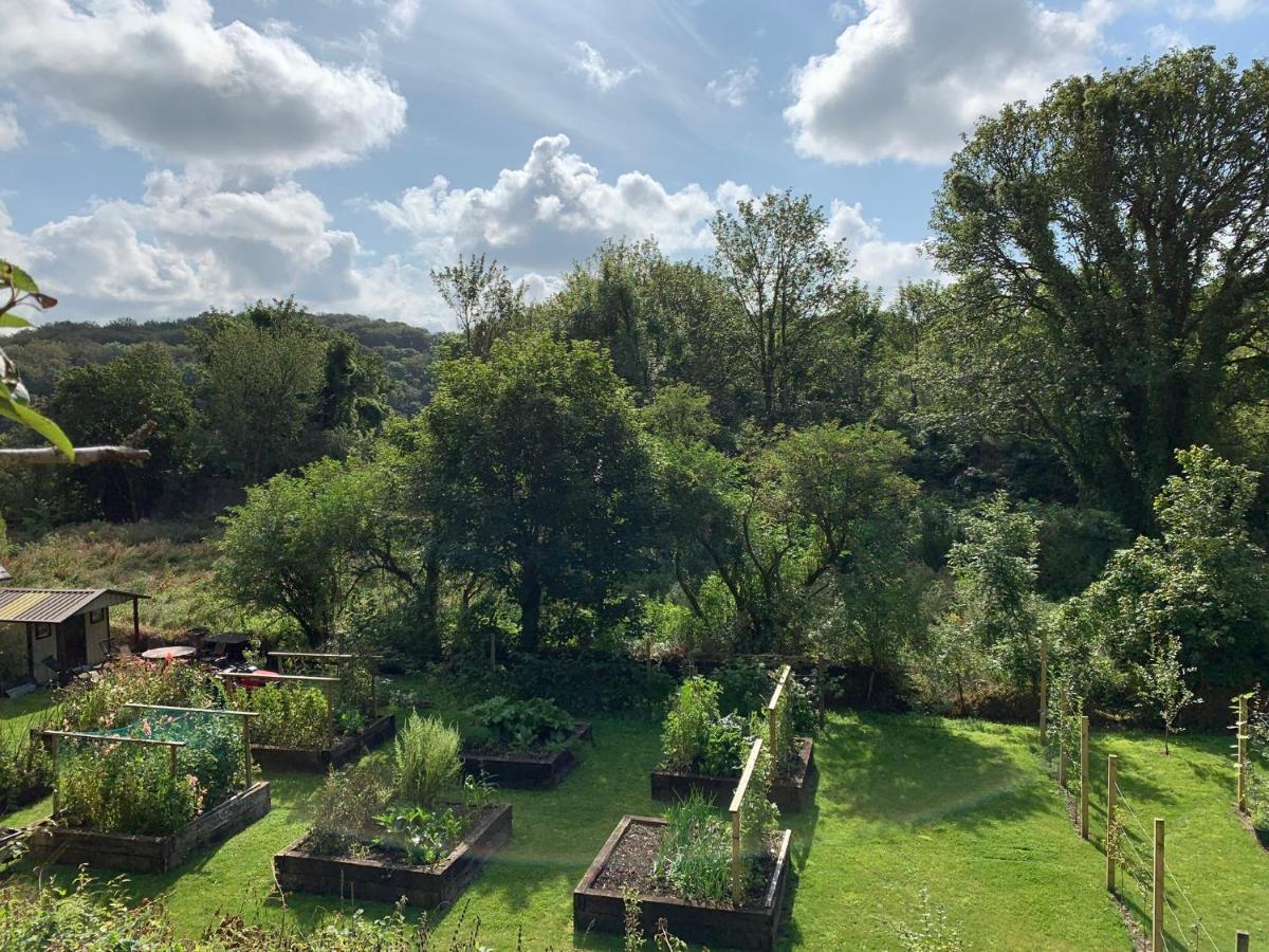 Riverbank House Bed And Breakfast Innishannon Esterno foto