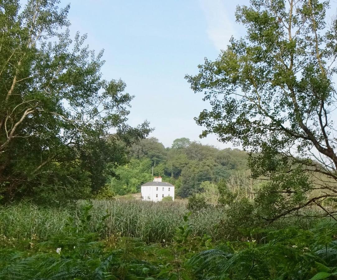 Riverbank House Bed And Breakfast Innishannon Esterno foto