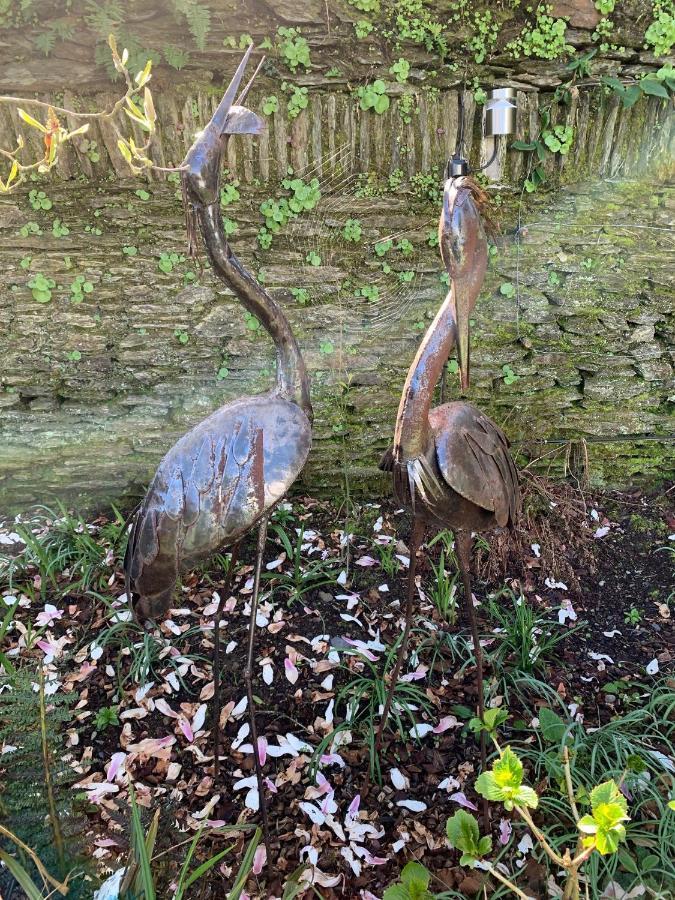 Riverbank House Bed And Breakfast Innishannon Esterno foto
